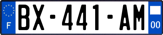 BX-441-AM