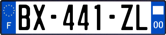 BX-441-ZL