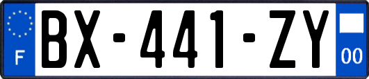 BX-441-ZY