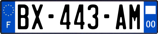 BX-443-AM