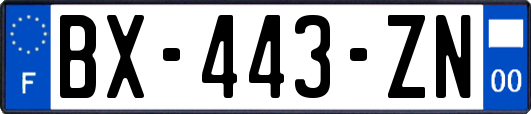 BX-443-ZN