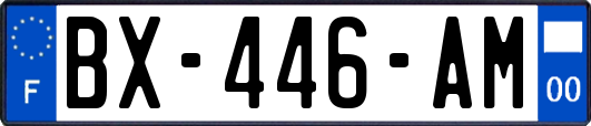 BX-446-AM