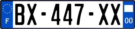 BX-447-XX