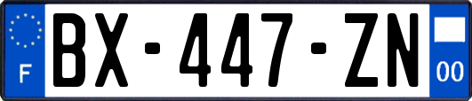 BX-447-ZN