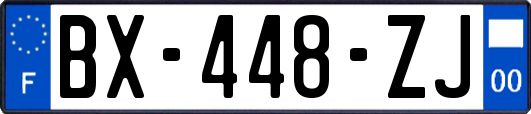 BX-448-ZJ