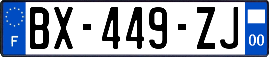 BX-449-ZJ