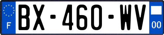 BX-460-WV