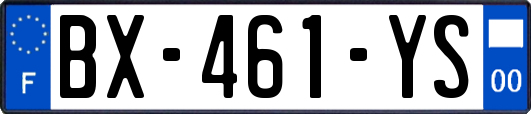 BX-461-YS