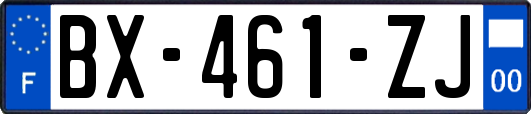 BX-461-ZJ