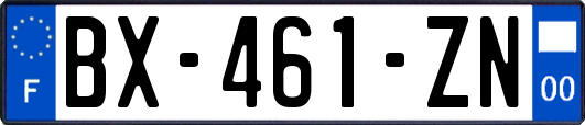 BX-461-ZN