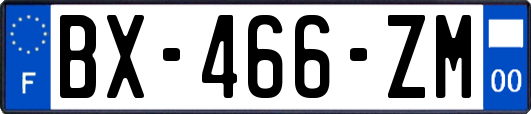 BX-466-ZM