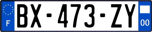 BX-473-ZY