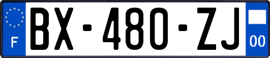 BX-480-ZJ