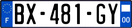 BX-481-GY