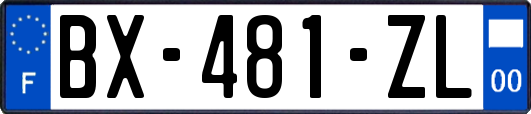 BX-481-ZL