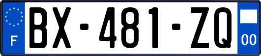 BX-481-ZQ