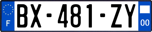 BX-481-ZY
