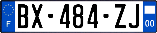 BX-484-ZJ