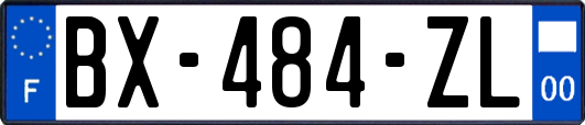 BX-484-ZL