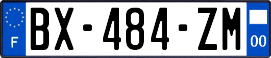 BX-484-ZM