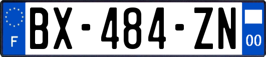 BX-484-ZN