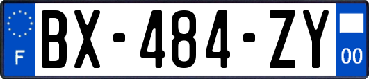 BX-484-ZY