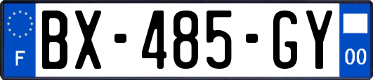 BX-485-GY