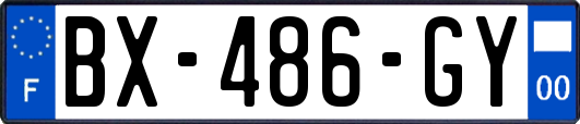 BX-486-GY