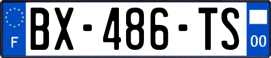 BX-486-TS