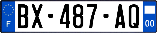 BX-487-AQ