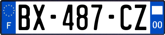 BX-487-CZ