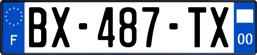 BX-487-TX