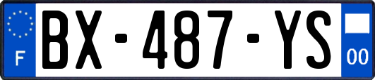 BX-487-YS