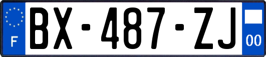 BX-487-ZJ