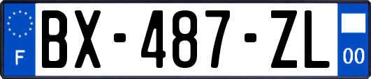 BX-487-ZL