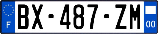 BX-487-ZM