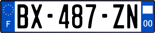 BX-487-ZN