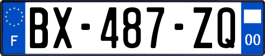 BX-487-ZQ