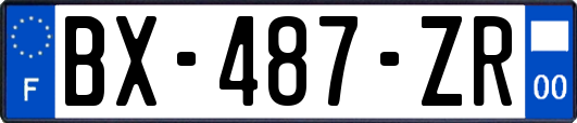 BX-487-ZR