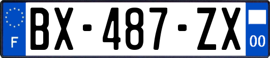 BX-487-ZX