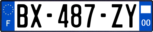 BX-487-ZY