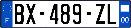 BX-489-ZL