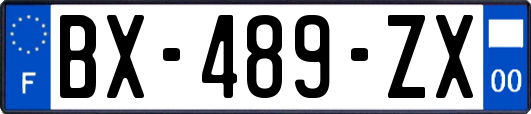 BX-489-ZX