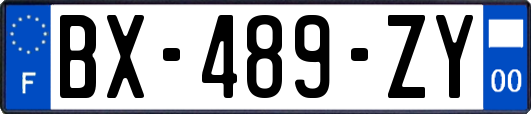 BX-489-ZY