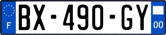 BX-490-GY