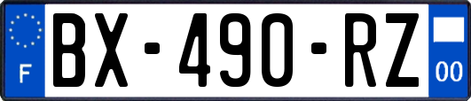 BX-490-RZ