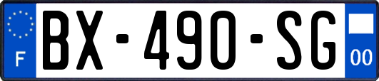 BX-490-SG