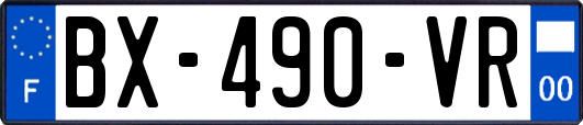 BX-490-VR