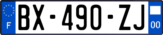 BX-490-ZJ