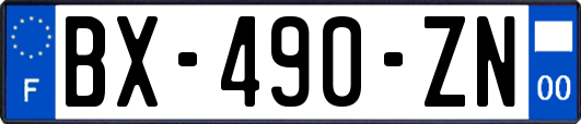 BX-490-ZN